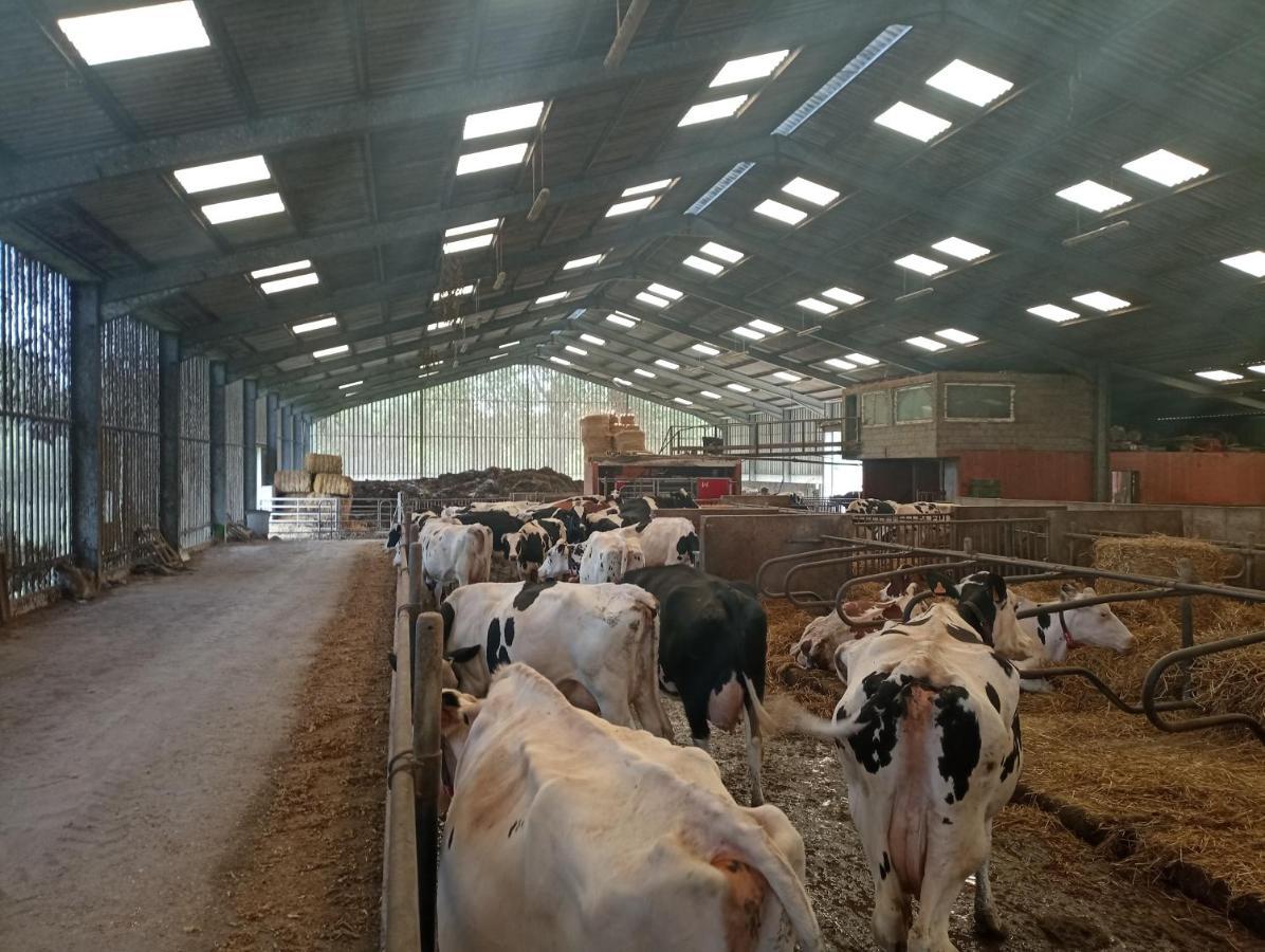 Gite A La Ferme Chez Magali Escaudoeuvres 外观 照片